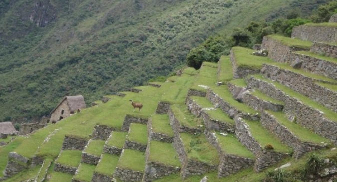 Machu Picchu