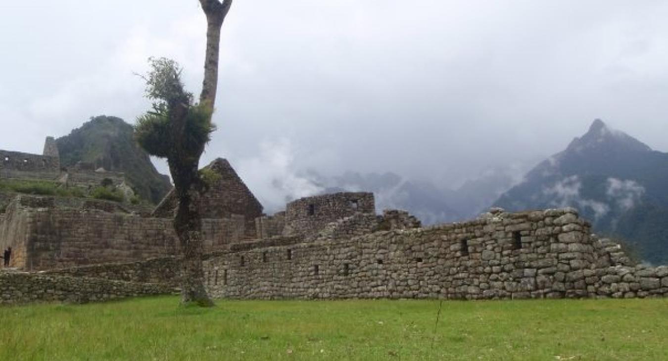 Machu Picchu