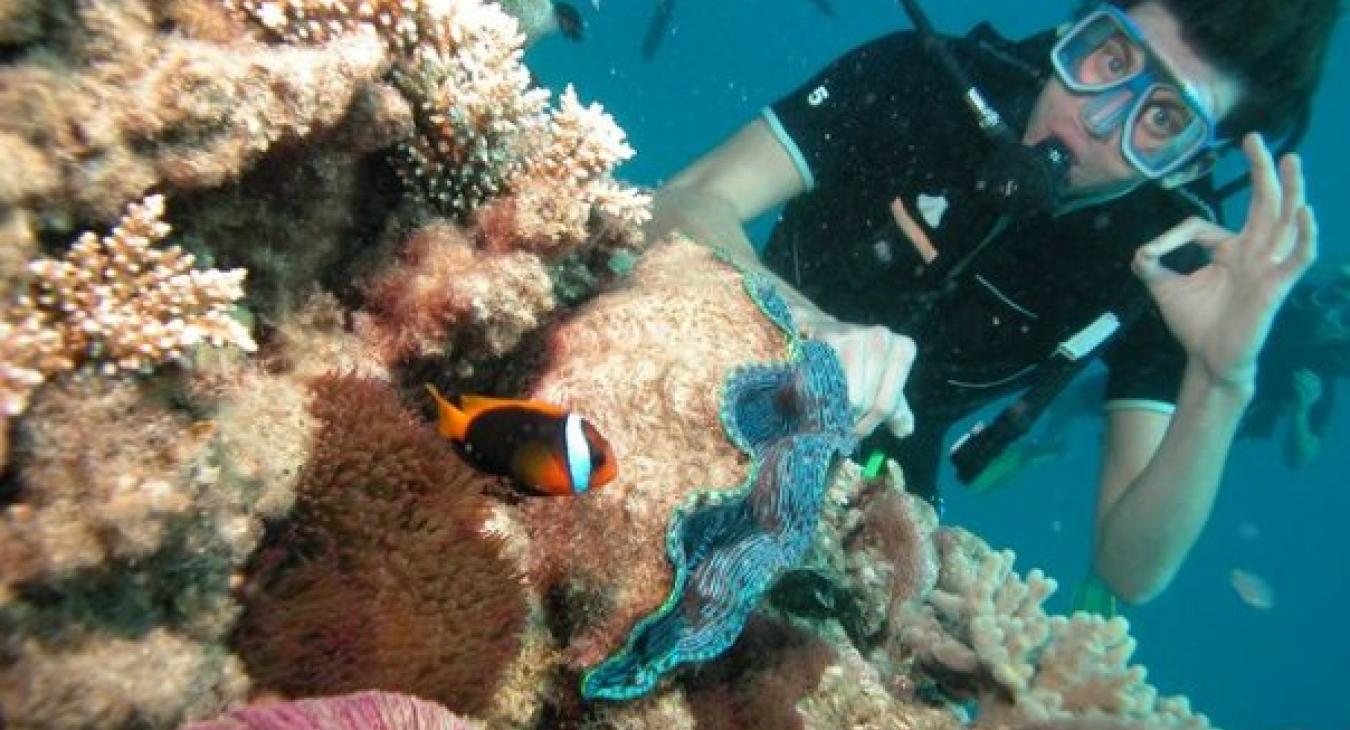 Diving the Great Barrier Reef